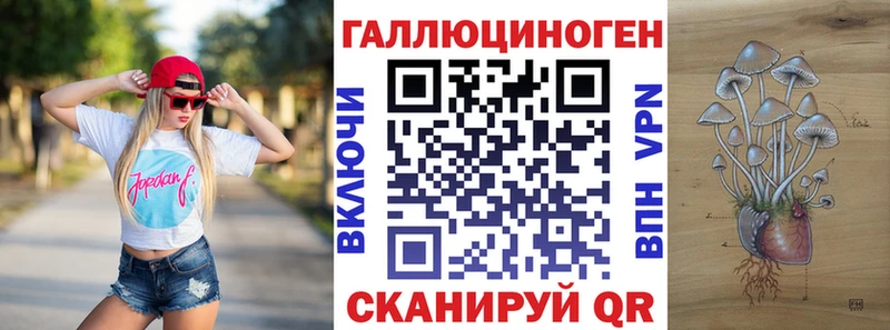 Псилоцибиновые грибы Psilocybine cubensis  Купить закладки  Хадыженск 